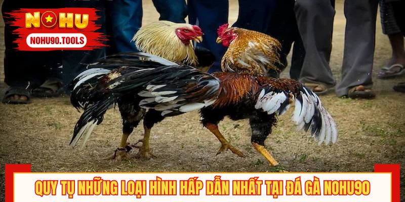 Quy tụ những loại hình hấp dẫn nhất tại đá gà NOHU90